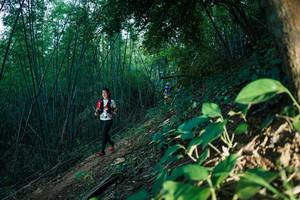 BIB: 
                            <button type="button" onclick="openModal(28124557)" class="btn btn-primary btn-sm float-right btn-popup" data-toggle="modal" data-target=".modal-high-quality">
                        <i class="fas fa-shopping-cart"></i> Add to Cart
                    </button>
                                            <button type="button" onclick="isThisMe(28124557, true)" class="btn btn-success btn-sm float-right btn-popup btn-isme hidden" data-toggle="tooltip" data-placement="bottom" title="นี่คือรูปของคุณใช่ไหม คลิกที่นี่เพื่อเอาเข้าอัลบั้ม">
                        <i class="fas fa-plus"></i> Add to album
                    </button>
                    <button type="button" onclick="isThisMe(28124557, false)" class="btn btn-warning btn-sm float-right btn-popup btn-isnotme hidden">
                        <i class="fas fa-ban"></i> Remove from album
                    </button>